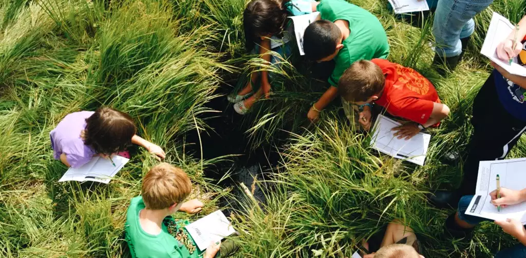 AL Blog Post Header (Assessing Students)
