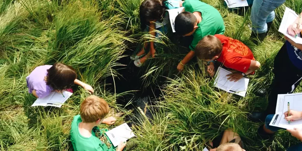 AL Blog Post Header (Assessing Students)